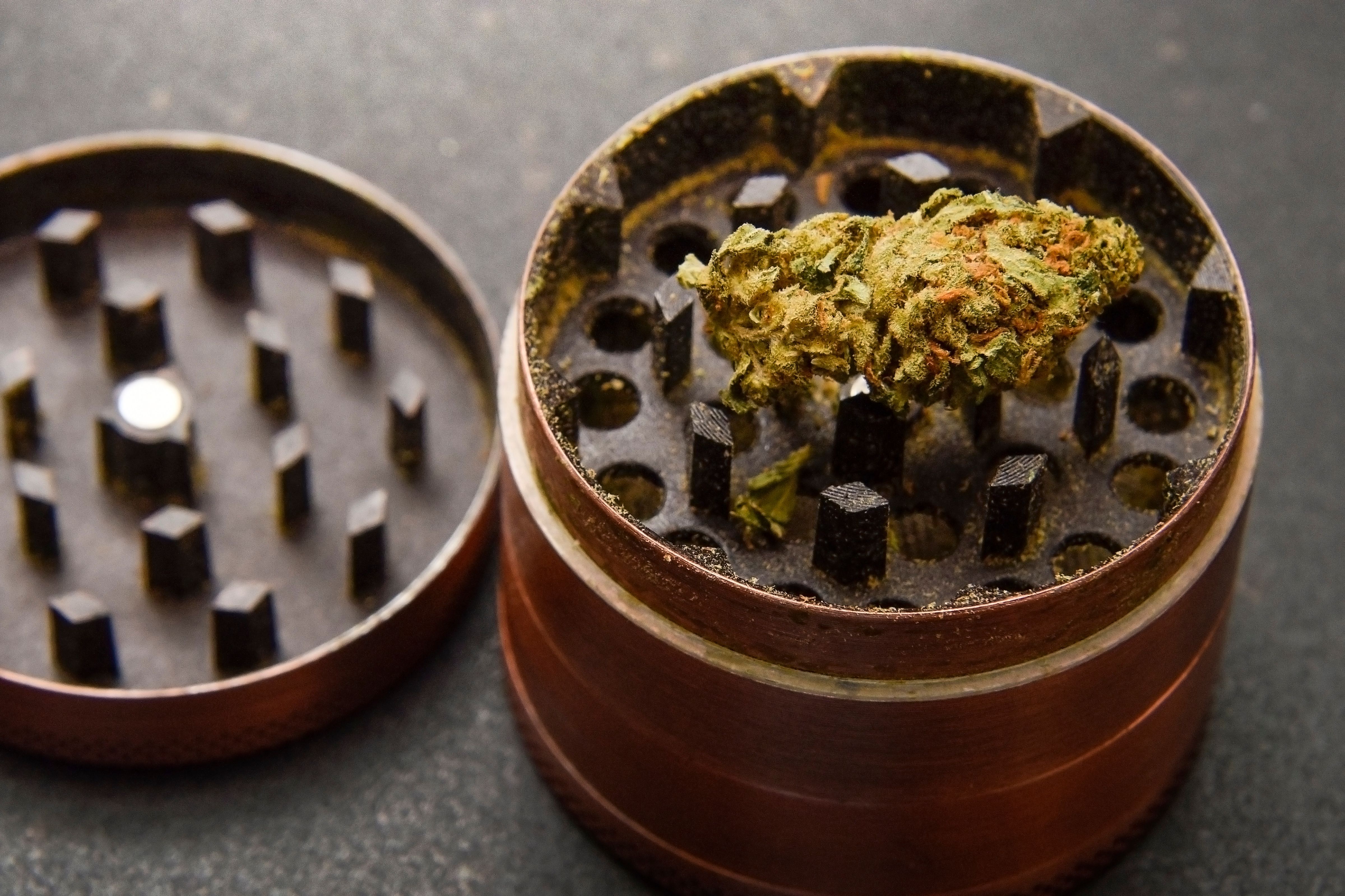 Forest Ceramic Grinder