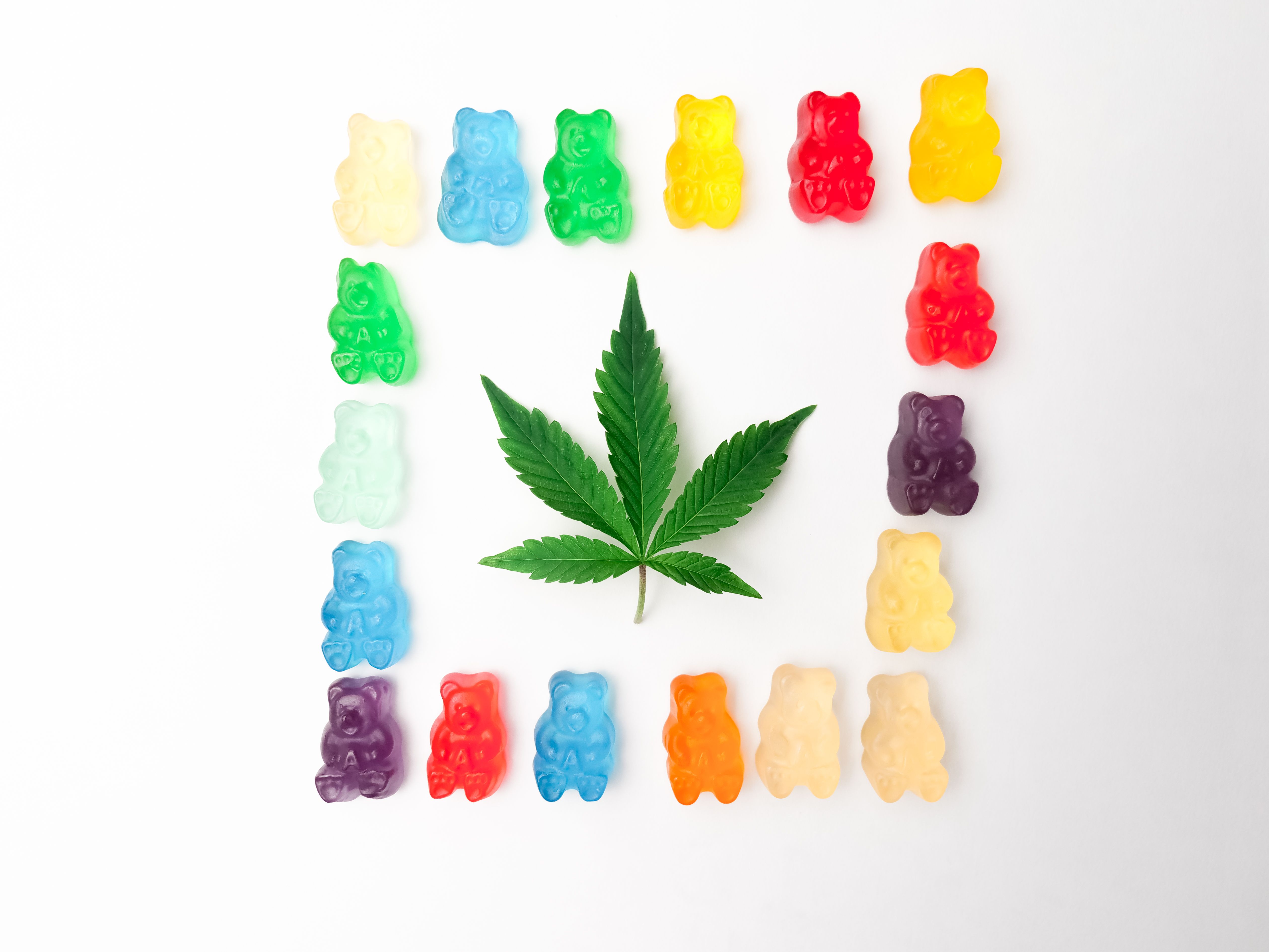 Shatter Chews 600 MG Indica